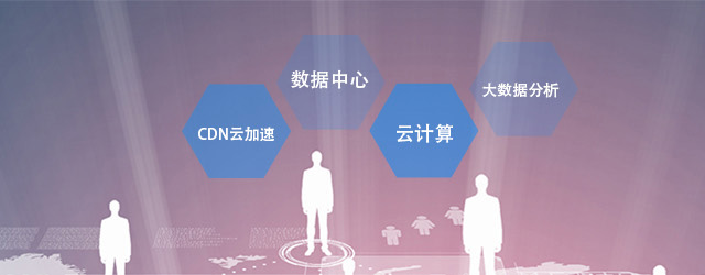 业务领域